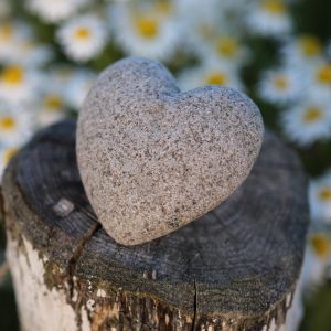 Een natuurstenen hartje, verkrijgbaar in drie afmetingen en te personaliseren. Op deze foto ligt het hartje sfeervol buiten op een paaltje tussen de weidebloemen.